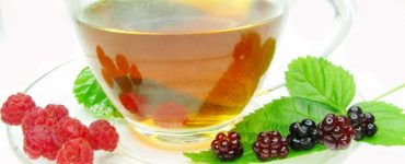 - Chá de Folha de Amora - Além de Delicioso traz muitos Benefícios para a Saúde